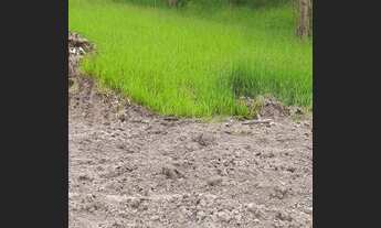 Imagem 5: Bora realizar teu sonho de ter um terreno de 1.000m² ?