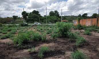 Imagem 4: Terreno no Parque Sul em Teresina-PI