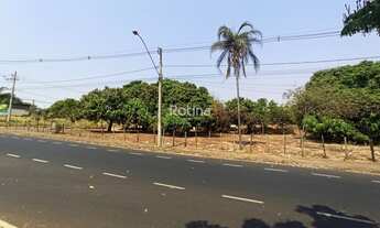 Imagem 6: Terreno à venda, Jardim Patrícia - Uberlândia/MG