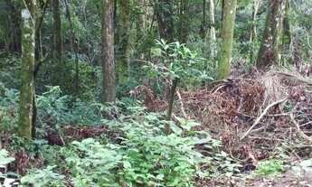 Imagem 6: VENDO CHÁCARA COM CASA EM TAQUARA