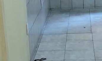 Imagem 4: Alugo kitnet 800 incluso água luz ?