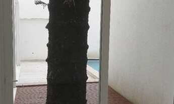 Imagem 7: Casa de condomínio 4 dorm, 4 suítes, 6 vagas, 355m2, Brooklin / SP