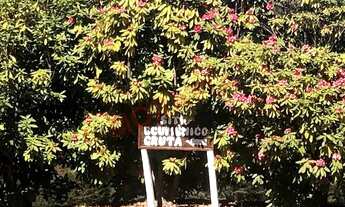 Imagem 6: Venda de Casa de Condomínio em São Paulo