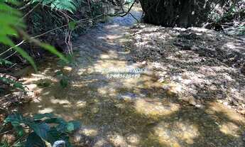 Imagem 3: Oportunidade Chácara com 21.000m², córrego, escriturada e registrada em Planalmira