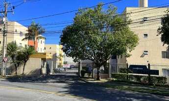 Imagem 2: Excelente Apartamento 3 Quartos c/ suíte Face Norte bem Ensolarado no Tingui / Bacacheri