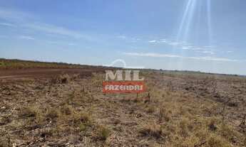 Imagem 6: Fazenda em Carolina - MA. 4.808 Há. (Dupla Aptidão