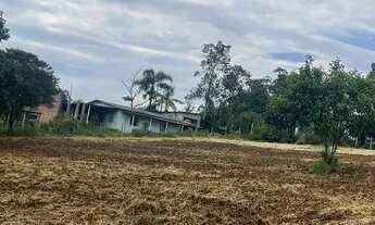 Imagem 4: Terreno para chácara