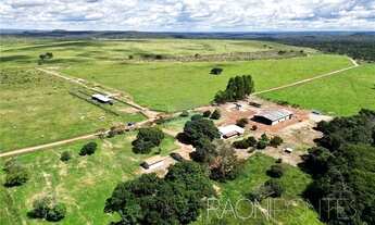 Imagem 2: Invista em uma fazenda de ILP com recursos hídricos abundantes em Darcinópolis - TO