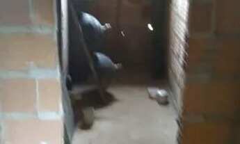 Imagem 2: Vendo um casa Casa com 3 dormitórios