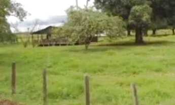 Imagem 2: Fazenda para Venda em Setor Central Santa Rita do Tocantins-TO - 3027