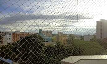 Imagem 3: Apartamento Padrão em São Carlos