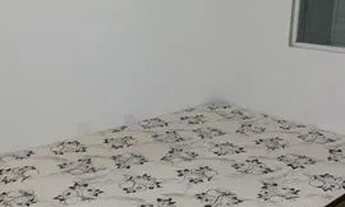 Imagem 3: Alugo KITNET Kitnet com 1 banheiro