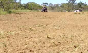 Imagem 5: Chácara 30 mil m² DF. 03 Hectares