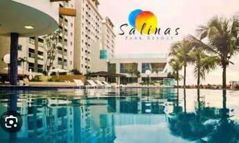 Imagem 1: Julho salinas park