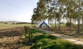 Imagem 6: Fazenda com 3 dormitórios à venda, 871200 m² por R$ 6.500.000,00 - Centro - Guapirama/PR