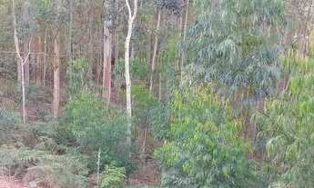 Imagem 6: Terreno para Venda em Nova Friburgo, BRAUNES