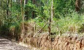 Imagem 2: Terreno para Venda em Nova Friburgo, BRAUNES