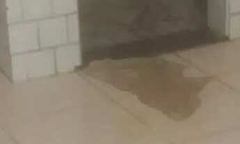 Imagem 3: Venda Casa com 2 dormitórios