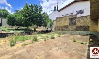 Imagem 6: Salão/Galpão (salão - térreo