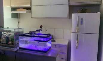 Imagem 3: AP para venda com 52M com 2 quartos Negrão de Lima