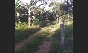 Imagem 4: Chacara 8 mil metro