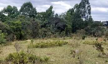 Imagem 7: Terreno 100.000m2 (10 hectares), topografia muito boa, local sossegado