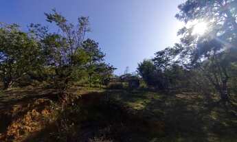 Imagem 4: CHÁCARA ENTRE CILÂNDIA E MORRO AZUL DO TINGUÁ - 5.000M2
