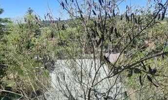 Imagem 4: Apartamento 02 Dormitórios - Bairro Bavária