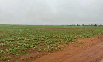 Imagem: Fazenda 4.000 ha. Campo Grande-Ms