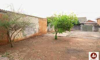 Imagem 3: Terreno (terreno normal