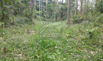 Imagem 4: Terreno Rural para Venda em São Pedro de Alcântara, ROCINHA