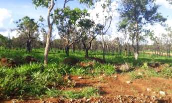 Imagem 4: Passo Fazendinha 20.000m2 com excelente preço em Cordisbugo Urgente