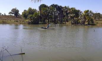 Imagem 3: Fazenda Extra 75 alqueires - Mozarlândia!