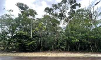 Imagem 4: Lote Alphaville 3