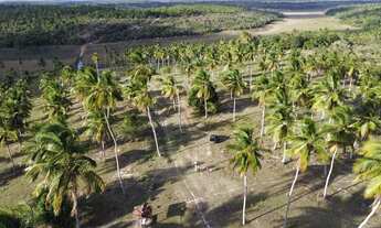 Imagem 3: Fazenda Mista em Conde -BA