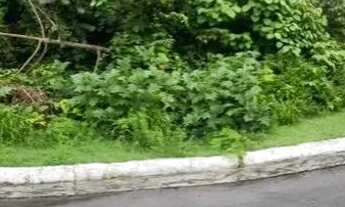 Imagem 4: Lote em condomínio Praia dos Passarinhos bairro - Ponta Negra - 719m2