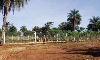 Imagem 5: Vendo Ágio de Chácara