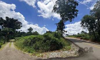 Imagem 5: Lindo Sitio 5,4 ha a 7km do Lago Negro