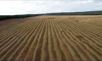Imagem 2: Fazenda a venda em Nova Mutum - MT