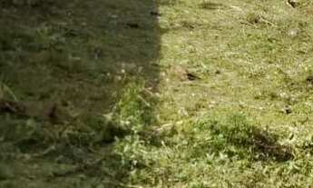 Imagem 2: Terreno Itaporanga ( camaçari mirin