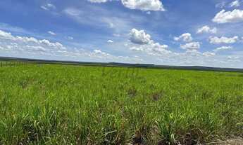 Imagem 6: Fazenda de Dupla Aptidão 635 hectares à Venda em Sapezal - MT