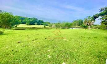 Imagem 3: Salomone vende Sítio de 3,5 hectares com Casa Rústica e aconchegante