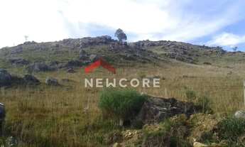 Imagem 3: Lote em Estrada Faz do Baú -juá - Interior - São Francisco de Paula/RS