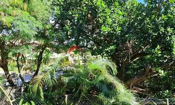 Imagem 5: Casa de condomínio em rua do dourado - Açú da Torre - Mata de São João/BA