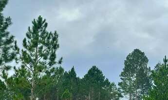 Imagem 6: Terreno em São Roque: Potencial de Valorização, Turismo,Lazer ou Investimento!!NA ROTA DO