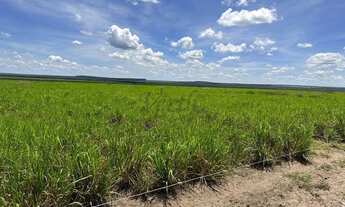 Imagem 7: Fazenda de Dupla Aptidão 635 hectares à Venda em Sapezal - MT
