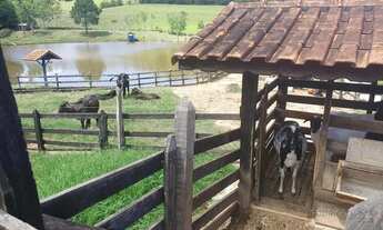 Imagem 7: Sítio para venda próximo a São Lourenço MG