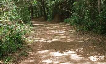 Imagem 6: Vendo chácara Chácara com venda por R$3.000.000