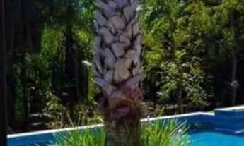 Imagem 4: Condomínio Village Bordeaux 250m2