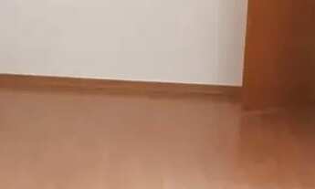 Imagem 2: Locação apartamento - 44m² - 2 quartos - 1 banheiro - 1 Vaga de garagem - Chácara Espraiad